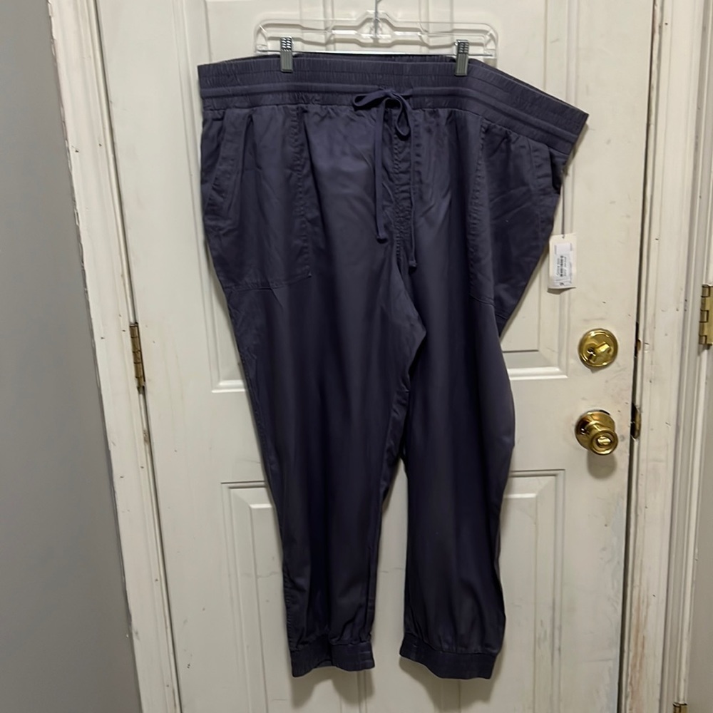 Women’s Plus Size High Rise Woven Ankle Jogger Pants A New Day Blue 2x